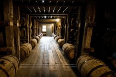 barrels are lined up in an old wine cellar