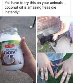 someone is holding up a jar of coconut oil with their dog in the back ground