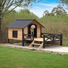 a dog house with a ramp leading up to it and a large white dog in the doorway