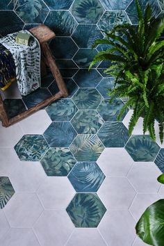 Ca' Pietra x Clarissa Hulse kitchen Porcelain Hexagon Tile, Teal Palette, Porcelain Tile Bathroom, Large Curtains, Hex Tile, Hexagon Tiles, Tropical Forest, Smooth Walls, Surround Yourself