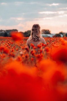 a woman in a field of red flowers with her back to the camera, looking into the distance