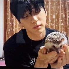 a young man holding a hedgehog in his hands while looking at the screen on his laptop