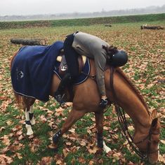 a person riding on the back of a brown horse in a field with fallen leaves