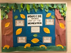 a bulletin board with yellow leaves and words on it that read squeeze the most out of the semester