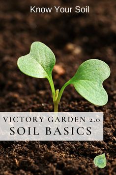 a small green plant sprouting out of soil with the words victory garden 2 0 soil basics