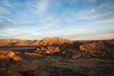 the desert is full of rocks and grass