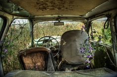 the interior of an old car with plants growing out of it