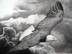 a drawing of an eagle flying through the sky with clouds in the backgroud