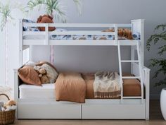 a white bunk bed sitting next to a plant and potted plant on top of a wooden floor