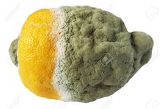 a close up of an orange and some sort of sponge on a white background,