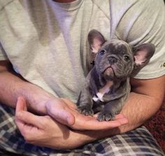 a man holding a small dog in his hands