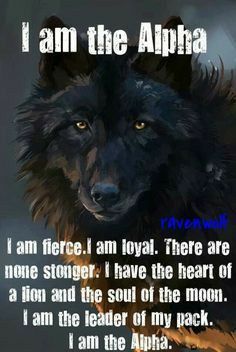 a black wolf with the caption i am the alpha