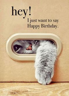 a cat sticking its head out of a door with the caption hey i just want to say happy birthday