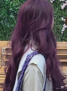 Plum Hair Aesthetic, Pelo Morado Aesthetic, Korean Purple Hair, Magenta Hair Aesthetic, Witch Hair Color, Amethyst Hair Color, Raven Hair Color, Pinkish Purple Hair