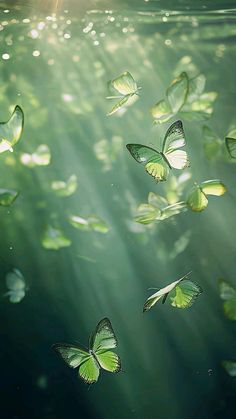 many green butterflies flying in the air over water with sunlight shining through it's wings