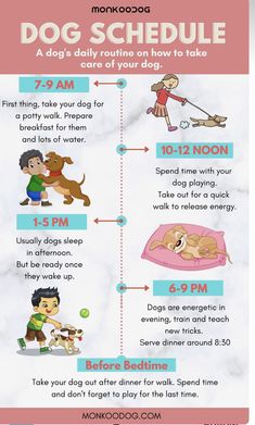 a poster with instructions on how to use the dog schedule