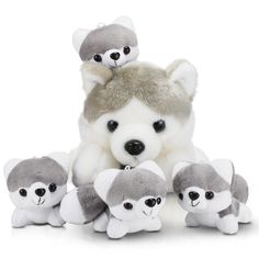 PRICES MAY VARY. 5 Pieces Husky Plush Set: you will get 5 Husky stuffed dogs, including a big Husky stuffed animal and 4 cute small Husky animal plush, nice combination meeting your decorative needs, the large Husky stuffed animal measures about 11 inches/ 28 cm high and the small Husky plush is 4 inches/ 10 cm high, with portable size, suitable to embrace in your arms Cute Husky Stuffed Animal: the stuffed Husky dog plush can be a birthday or keepsake for little ones, teens and adults; The plus Christmas Husky, Husky Plush, Dolls For Girls, Baby Huskies, Anniversary Presents, Pig Costumes, Wedding Anniversary Presents, Cute Husky, Dog Stuffed Animal