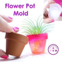 there is a flower pot mold being used to make a plant in a clay pot