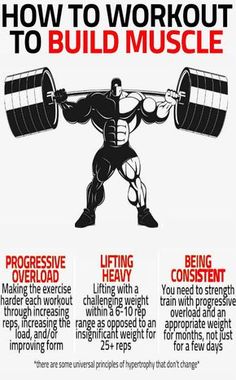 a poster with instructions on how to work out and build musclees for beginners