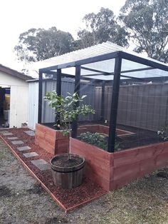 a small garden area with a purple fence and potted plant in the center, surrounded by grass