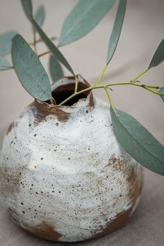 a white vase with some green leaves in it