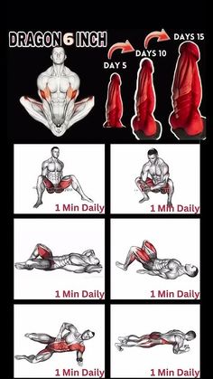 the diagram shows how to do an arm workout with different muscles and their corresponding exercises