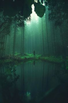 a man standing in the middle of a forest next to a body of water surrounded by trees