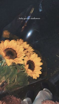 two sunflowers in a clear vase on the ground