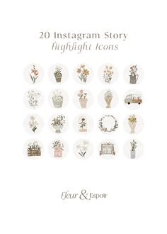 the book cover for 20 instagramm story highlight icons by helen & espoir