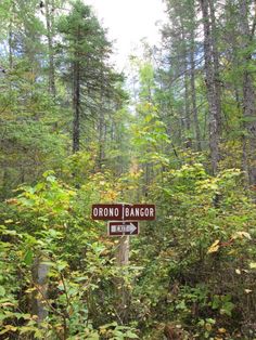 a sign in the middle of a forest pointing to bronco island and brown's landing