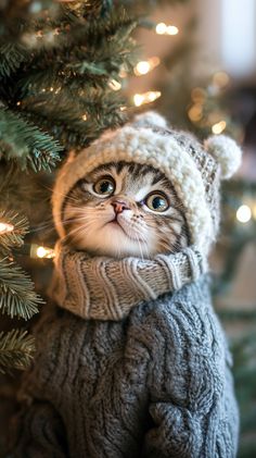 a cat wearing a hat and scarf on top of a christmas tree