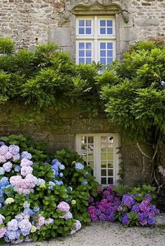 colorful flowers in front of an old building