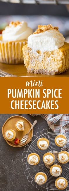 mini pumpkin spice cheesecakes with whipped cream on top