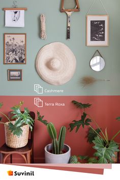 there are some plants and pictures on the wall