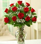 a vase filled with red roses and baby's breath in a living room setting