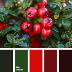 the color scheme is red and green, with berries growing on it's branches