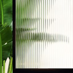 a large green plant sitting next to a window with vertical blinds on the outside and inside