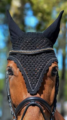 a brown horse wearing a black crocheted bridle