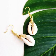 Cowrie Shell Earrings, Sea Shell Earrings, Sea Shell Earrings They're Basic And Beautiful. Cowrie Shell Earrings Can Easily Become Your Favorite Pair. 1" Length, Gold Plated Ear Wires, Wire Wrapped Shells. White Earrings With Ear Wire For Vacation, White Wire Wrapped Hoop Earrings Gift, White Ear Wire Earrings For Vacation, White Wire Wrapped Hoop Earrings As A Gift, White Shell-shaped Earrings For Jewelry Making, Nickel Free White Jewelry For Vacation, White Shell-shaped Earrings With Ear Wire, Nickel-free White Shell-shaped Earrings, White Nickel-free Shell-shaped Earrings