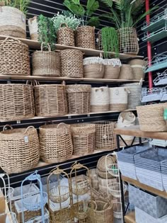 baskets and plants on shelves in a store