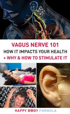 Vagus Nerve 101: How It Impacts Your Health   Why Nerf Vague, Nervus Vagus, Nerve Health, Vagus Nerve, Fitness Advice, Good Health Tips, Exercise Tips