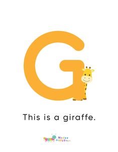 the letter g is for giraffe with an image of a giraffe