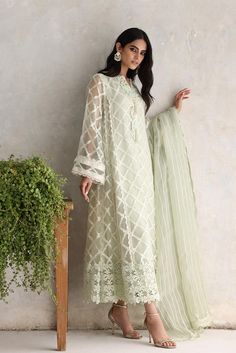 Party Wear Salwar Kameez Nameera By Farooq, Long Kurti Patterns, Pakistani Dresses Party, Embroidered Organza Dress, Designer Salwar Kameez, Pakistani Dresses Online, Kameez Designs, Organza Shirt, Lace Dress Design