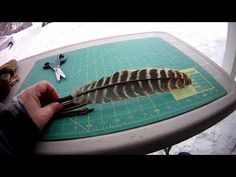 a person holding a bird feather on top of a green cutting board next to scissors