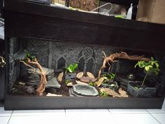 an aquarium filled with plants and rocks on top of a white tile floor next to a window