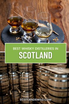 the best whisky distilleries in scotland