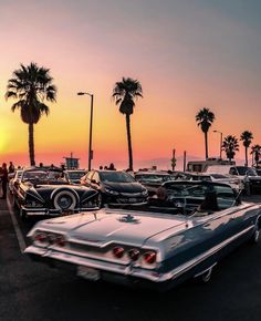 cars parked in a parking lot with palm trees and the sun setting over the ocean