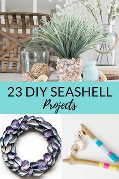 the top 20 diy seashell projects