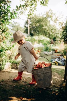 a little boy in red boots and a hat is holding a bucket full of apples