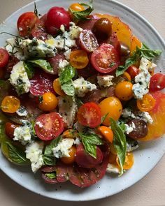 a white plate topped with lots of different types of tomatoes and cheese on top of it